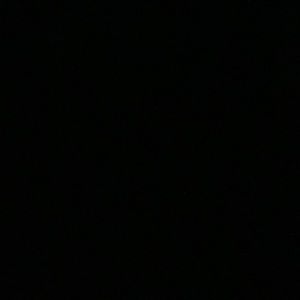 Meet your Posher, Da’lilah